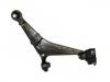 Brazo de suspensión Control Arm:95 658 979